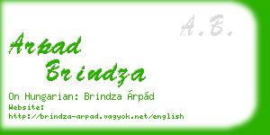 arpad brindza business card